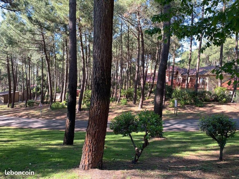 Apt T2 Calme Sur Golf, Piscine, Ocean 10 Min En Velo Лакано Экстерьер фото